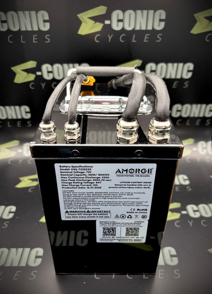 72V25AH (220A Continuous) Eve 50PL Lithium Ion Battery Pack in Metal Case for Tuttio Soleil01