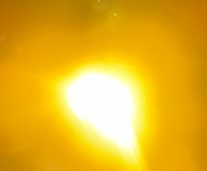 Controller Powered Rocklight,Baja, & 110DB Horn